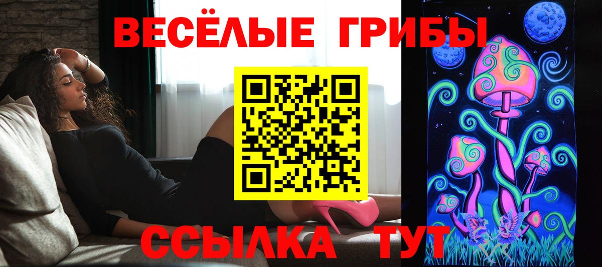 Заинск  Галлюциногенные грибы MAGIC MUSHROOMS  Псилоцибиновые грибы MAGIC MUSHROOMS  сколько стоит  Вход с VPN 